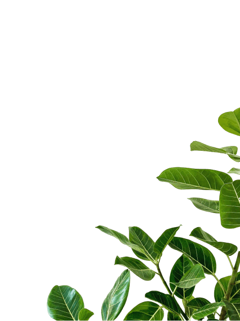 greenery accent