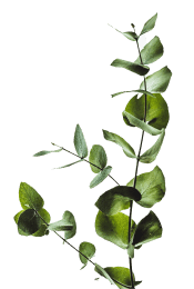 greenery accent